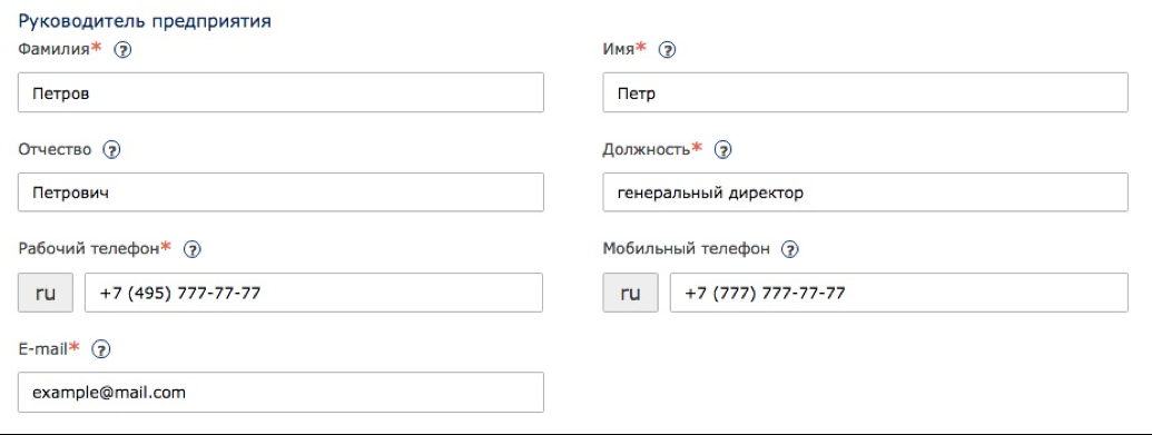 Информация о руководителе предприятия
